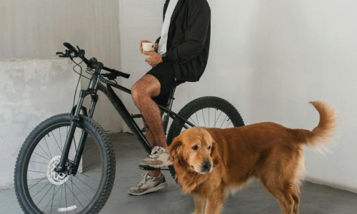 a man sitting on a bike next to a dog